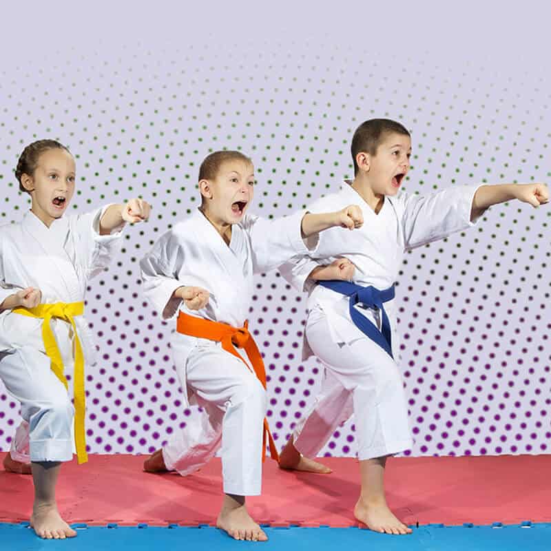Martial Arts Lessons for Kids in Stafford VA - Punching Focus Kids Sync