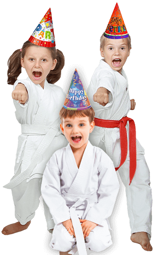 Martial Arts Birthday Party for Kids in Stafford VA - Birthday Punches Page Banner